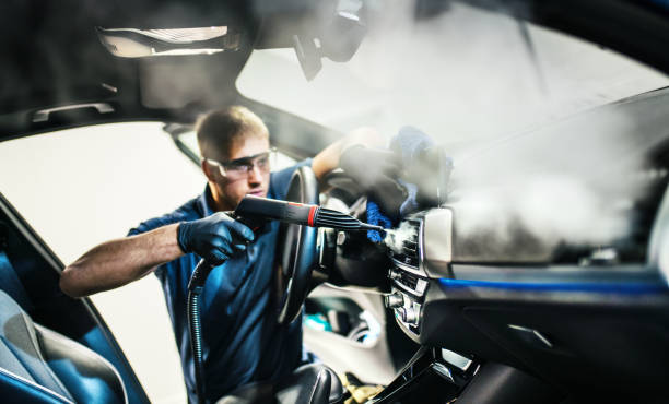 Best Air Duct Mold Removal  in Belleville, MI