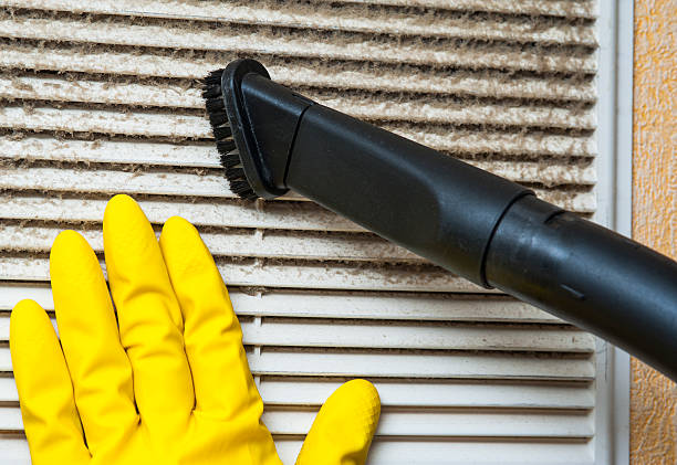 Best Professional Duct Cleaning Services  in Belleville, MI
